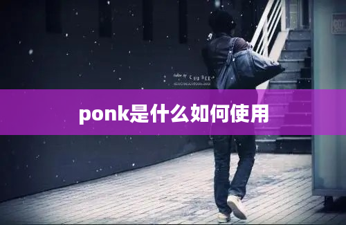 ponk是什么如何使用