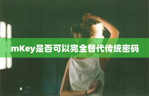 mKey是否可以完全替代传统密码