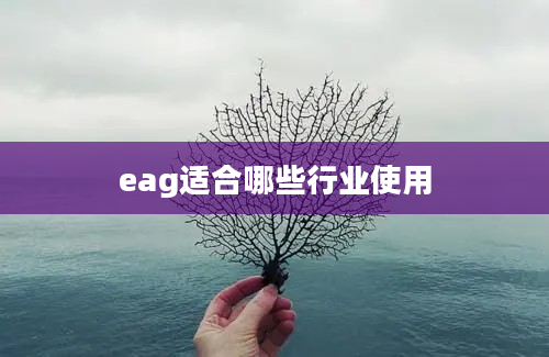 eag适合哪些行业使用