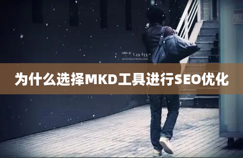 为什么选择MKD工具进行SEO优化