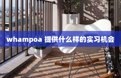 whampoa 提供什么样的实习机会