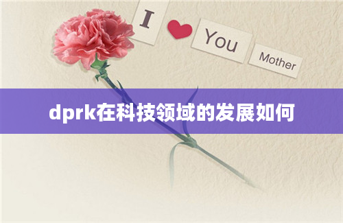 dprk在科技领域的发展如何