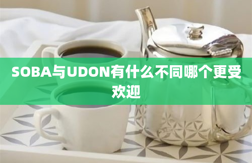 SOBA与UDON有什么不同哪个更受欢迎