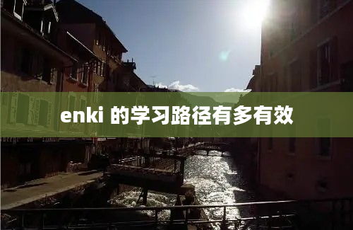 enki 的学习路径有多有效