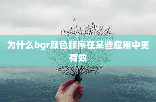 为什么bgr颜色顺序在某些应用中更有效