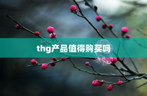 thg产品值得购买吗