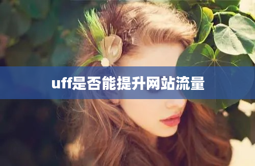 uff是否能提升网站流量