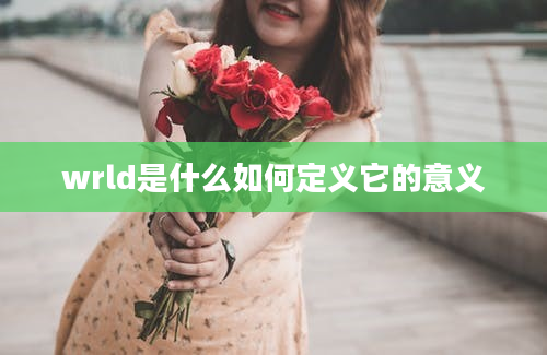 wrld是什么如何定义它的意义