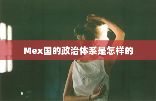 Mex国的政治体系是怎样的