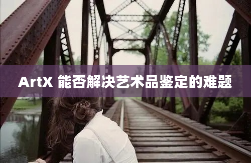 ArtX 能否解决艺术品鉴定的难题