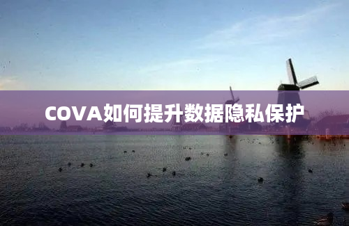 COVA如何提升数据隐私保护