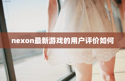 nexon最新游戏的用户评价如何