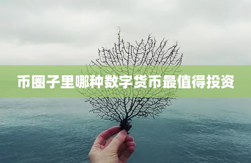 币圈子里哪种数字货币最值得投资