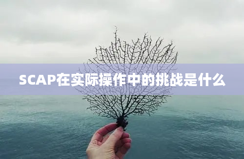 SCAP在实际操作中的挑战是什么