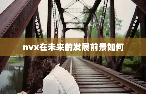 nvx在未来的发展前景如何