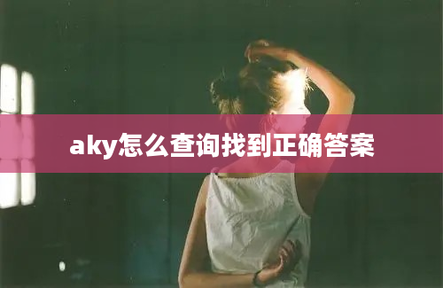 aky怎么查询找到正确答案