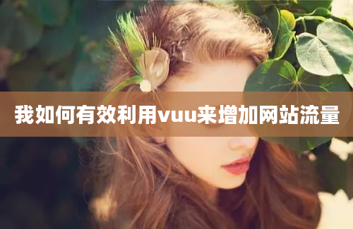 我如何有效利用vuu来增加网站流量