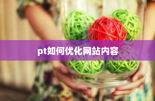 pt如何优化网站内容