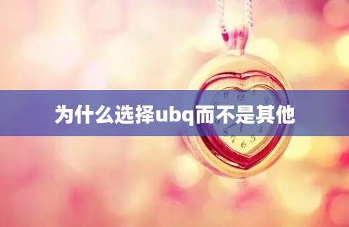 为什么选择ubq而不是其他