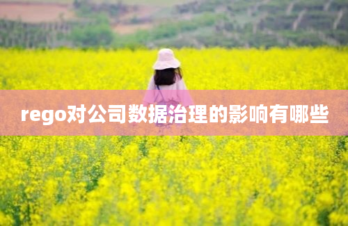 rego对公司数据治理的影响有哪些