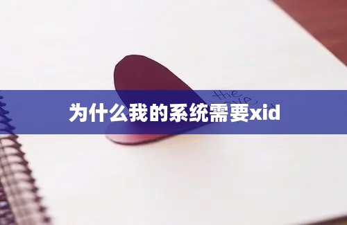 为什么我的系统需要xid