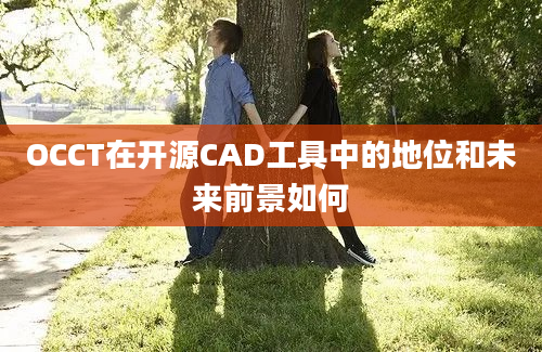 OCCT在开源CAD工具中的地位和未来前景如何