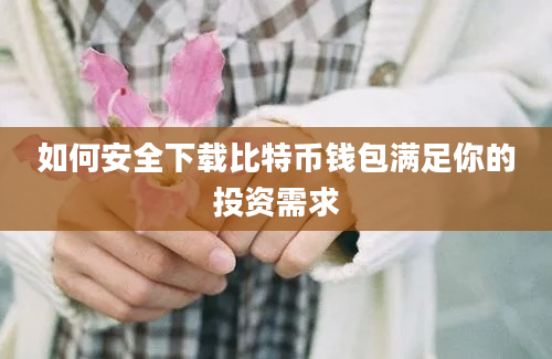 如何安全下载比特币钱包满足你的投资需求