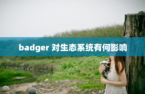 badger 对生态系统有何影响