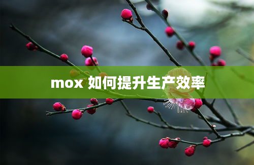 mox 如何提升生产效率