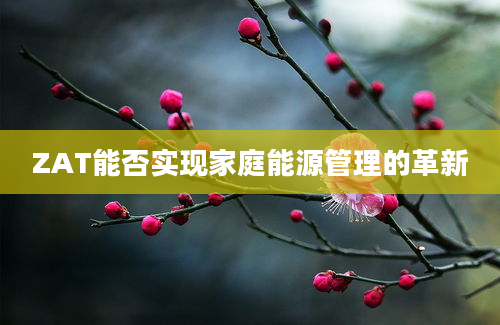 ZAT能否实现家庭能源管理的革新