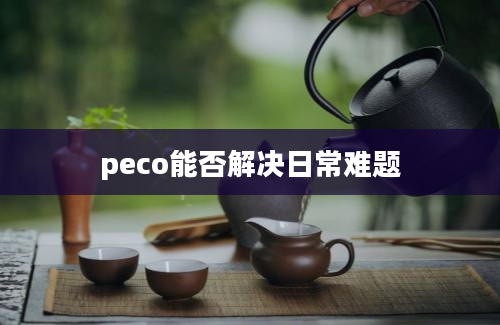 peco能否解决日常难题