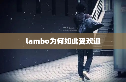 lambo为何如此受欢迎