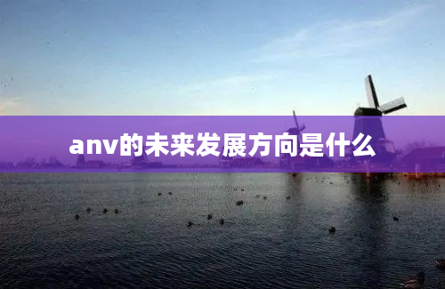 anv的未来发展方向是什么