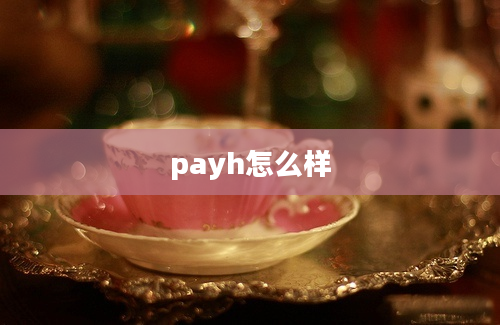 payh怎么样