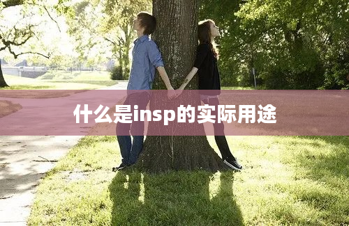 什么是insp的实际用途