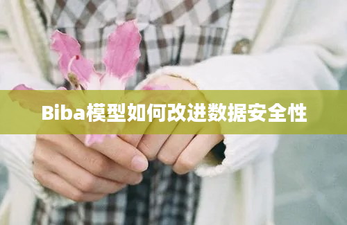 Biba模型如何改进数据安全性