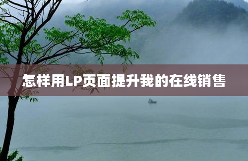 怎样用LP页面提升我的在线销售