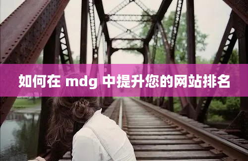 如何在 mdg 中提升您的网站排名