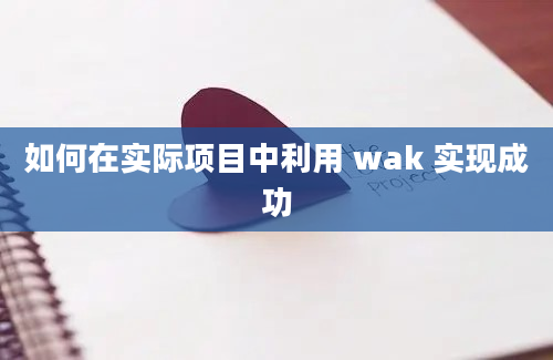 如何在实际项目中利用 wak 实现成功