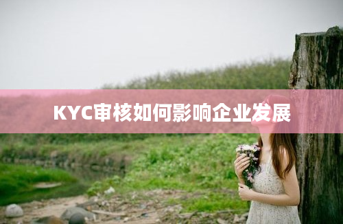 KYC审核如何影响企业发展