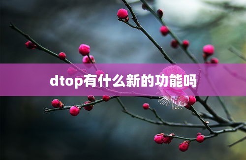 dtop有什么新的功能吗