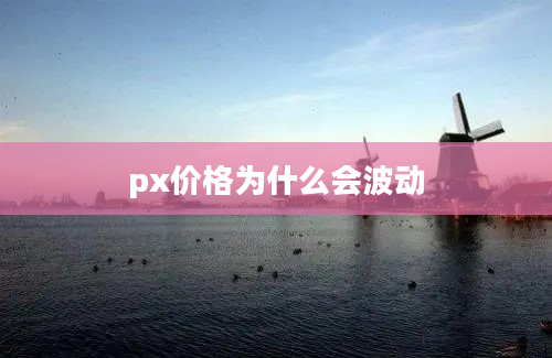 px价格为什么会波动