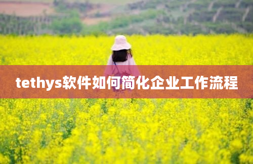 tethys软件如何简化企业工作流程