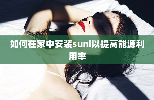 如何在家中安装suni以提高能源利用率