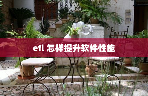 efl 怎样提升软件性能