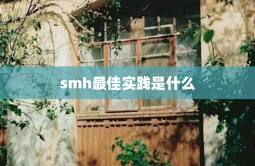 smh最佳实践是什么