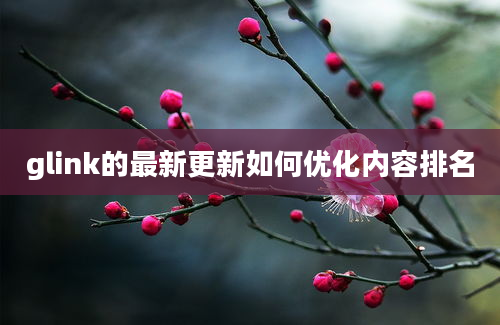 glink的最新更新如何优化内容排名