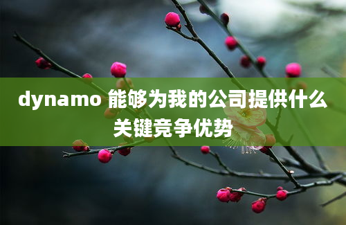 dynamo 能够为我的公司提供什么关键竞争优势