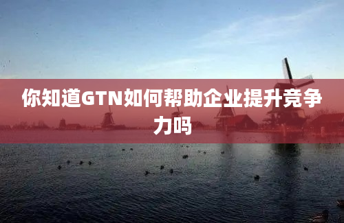 你知道GTN如何帮助企业提升竞争力吗