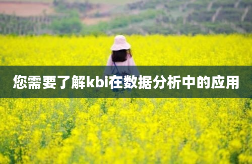 您需要了解kbi在数据分析中的应用